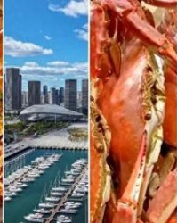 开云电子-东北超，先来大连谈一场“恋爱”吧！|足球|通辽队|不得不爱|通辽|训练_新浪新闻